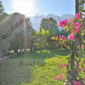 naturaleza